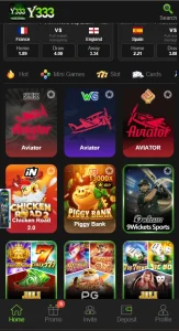 Y333 Game