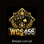 WGs456 Game