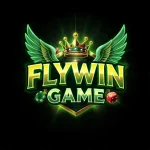 Flywin Game