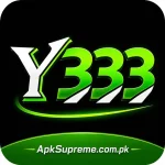Y333 Game